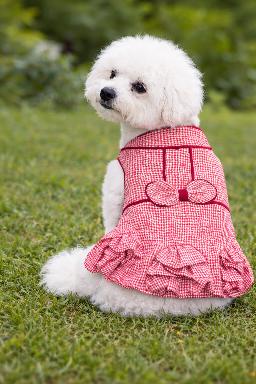 Parisian Pet ‘Houndstooth Dog Dress’ for Dogs & Cats Red & White