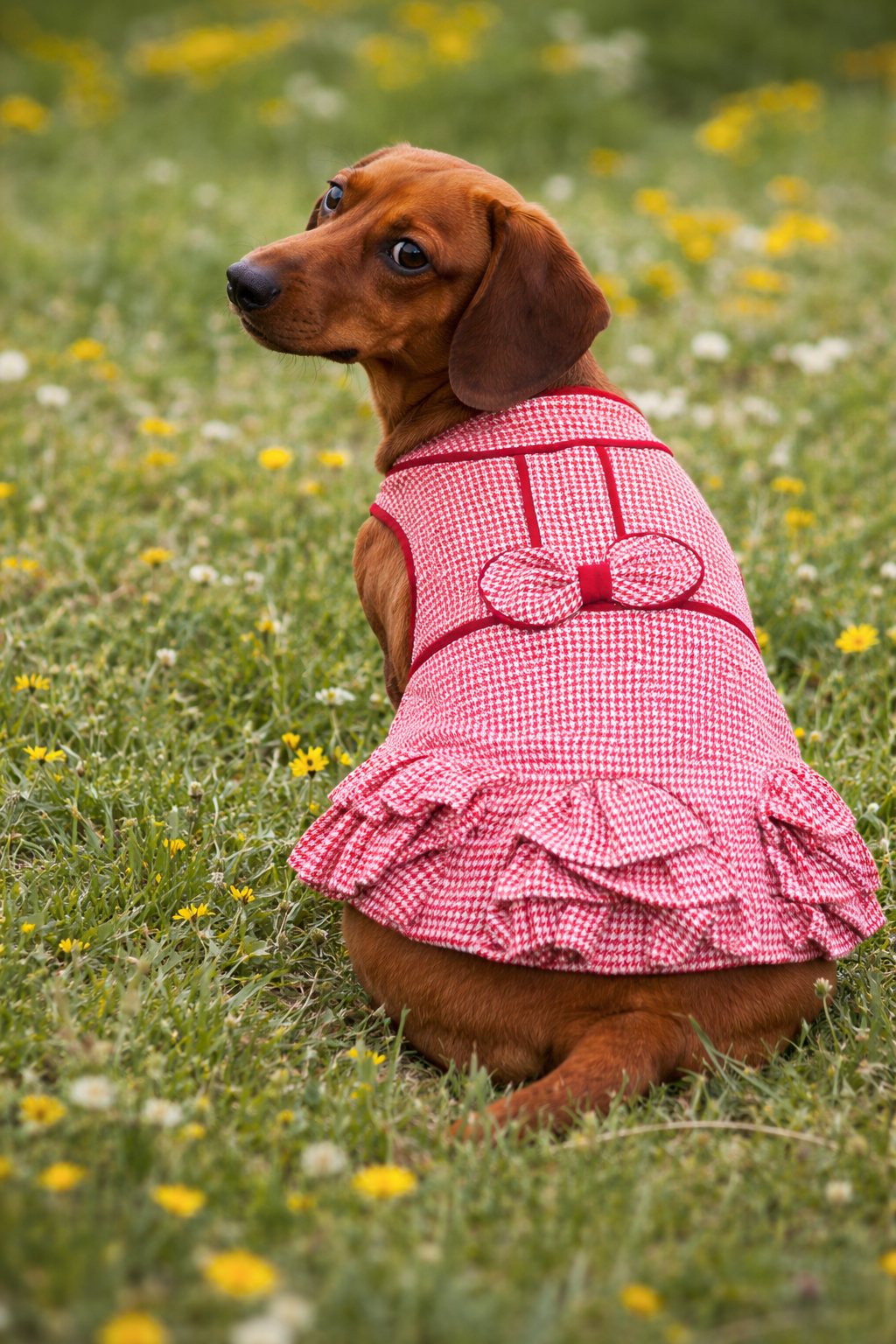 Parisian Pet ‘Houndstooth Dog Dress’ for Dogs & Cats Red & White